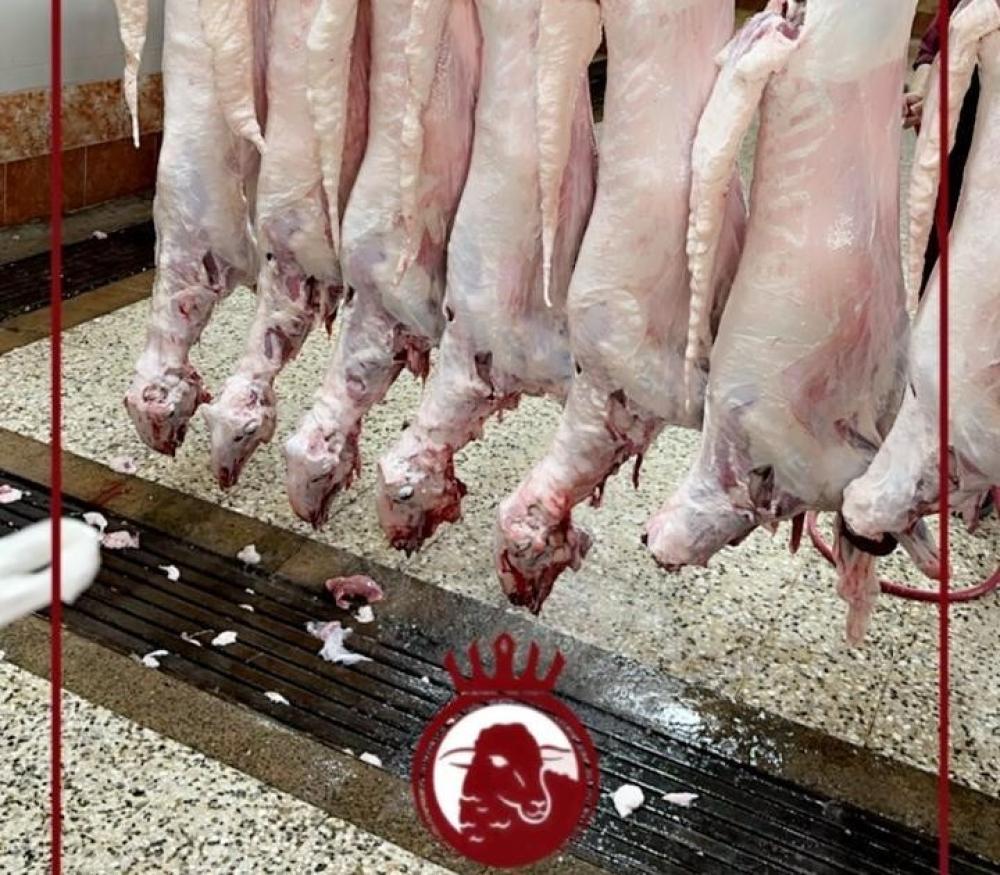 نظافة محل أبو طلال للذبائح وجودة العمل
