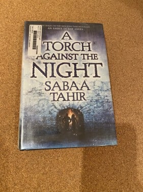 A torch against the night