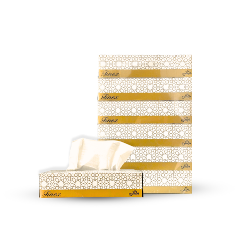 ربطة مناديل فاينكس 100 منديل