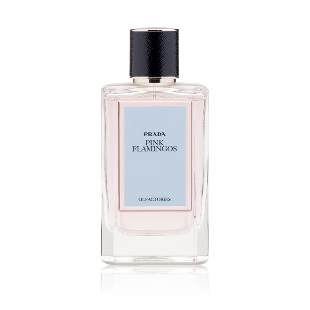 برادا أولفاكتوريز بينك فلامينجوس أو دو برفيوم - افانتي للعطور