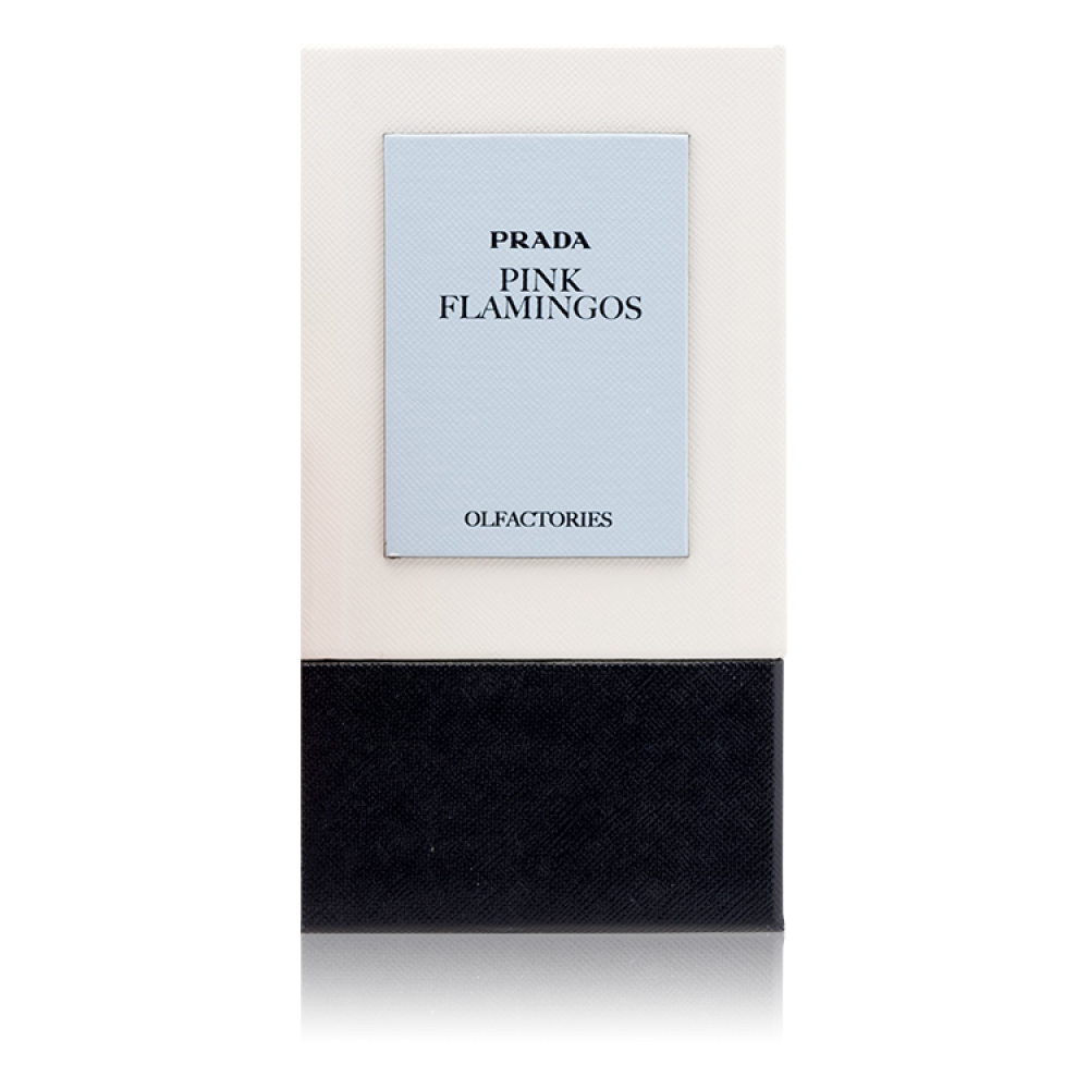 برادا أولفاكتوريز بينك فلامينجوس أو دو برفيوم - افانتي للعطور