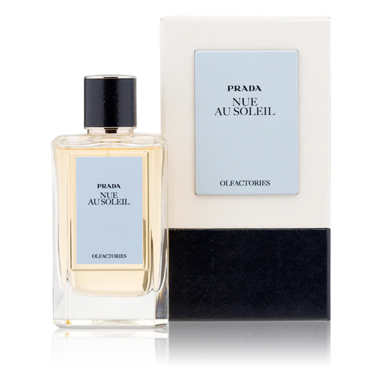 عطر برادا أون شانت دامور أو دو برفيوم 100 مل - افانتي للعطور