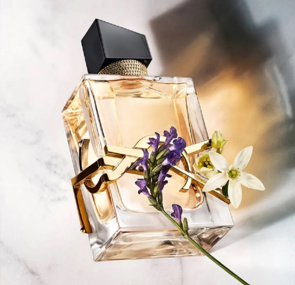 عرض الشتاء من - افانتي للعطور