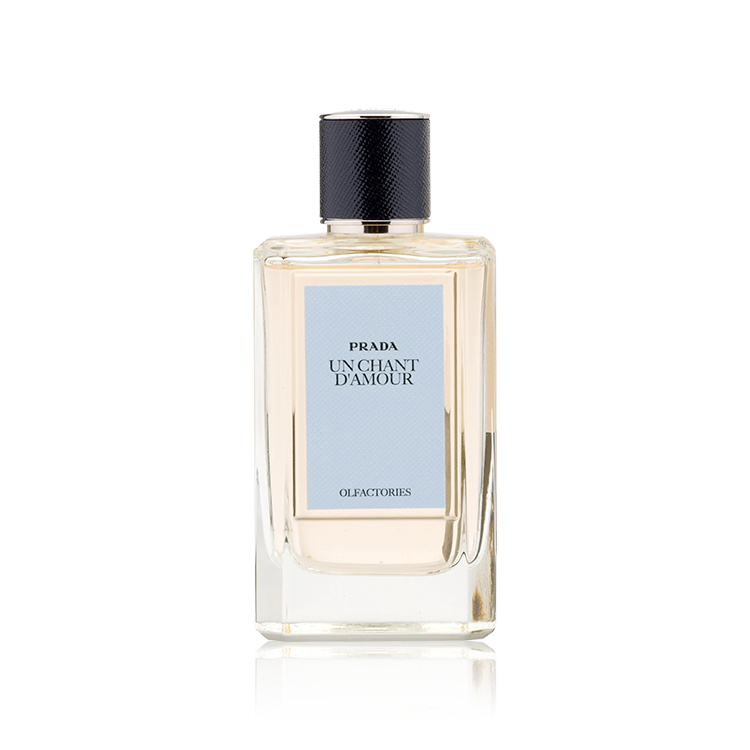 عطر برادا أون شانت دامور أو دو برفيوم 100 مل - افانتي للعطور