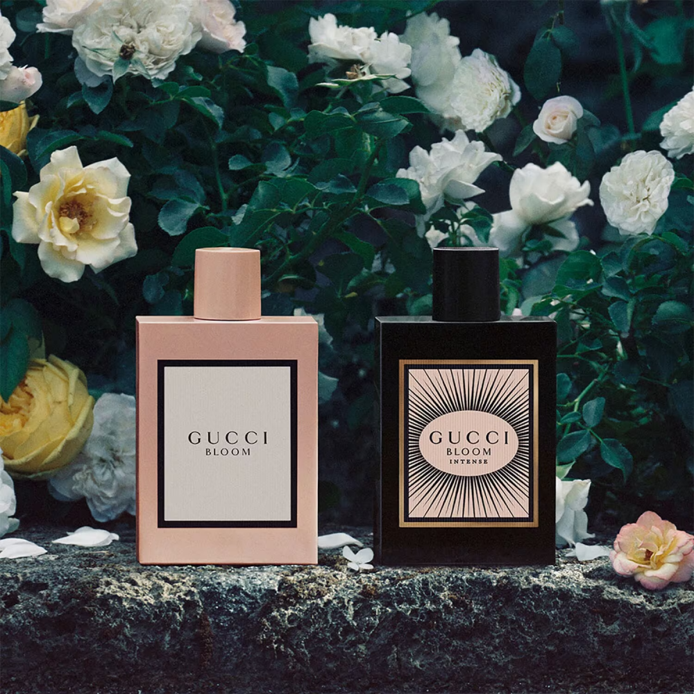 عطر قوتشي بلوم النسائي او دو بارفيوم انتنس 100 مل - افانتي للعطور