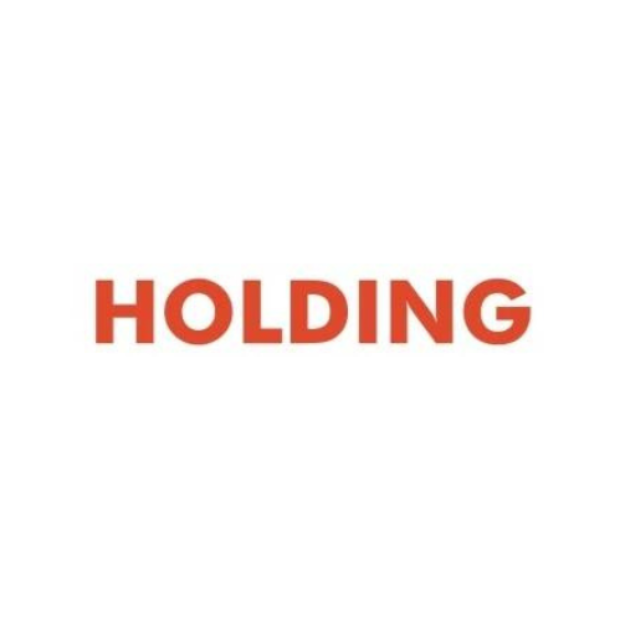 هولدينغ Holding