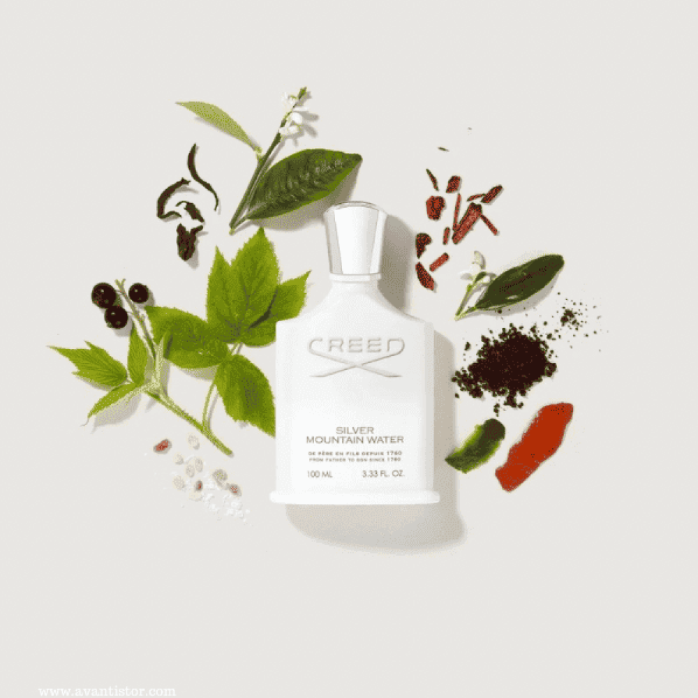 عطور نيش أصلية 2025 – فخامة نادرة لعشاق التميز