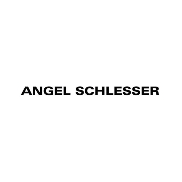 انجل سشلر Angel Schlesser