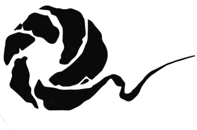 جماعة التصوير الضوئي بالقطيف