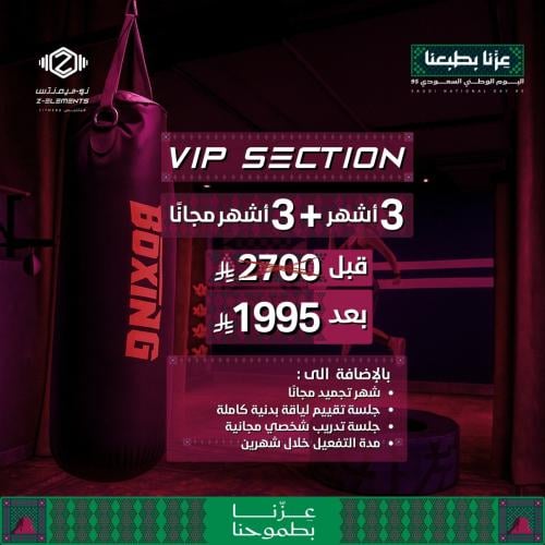 عرض اليوم الوطني 95/ 6 شهور بلس VIP