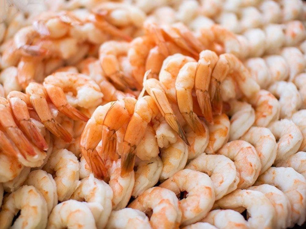 كيف تختار الروبيان الجامبو البحري الطازج؟ نصائح من الخبراء