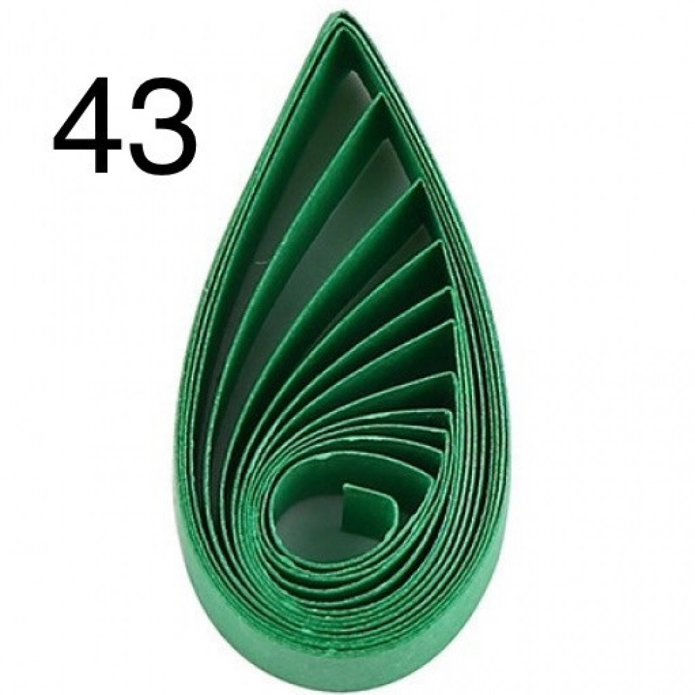 43