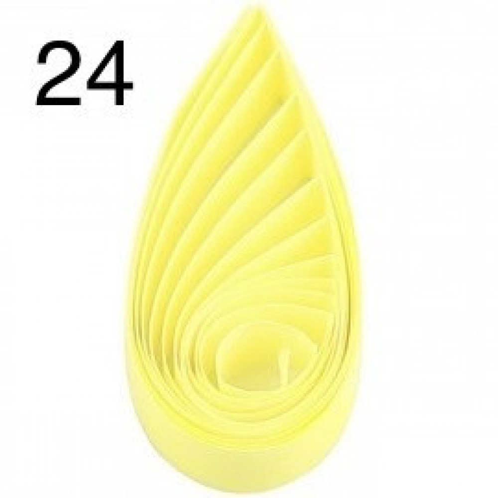 24