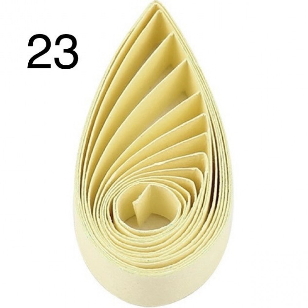 23