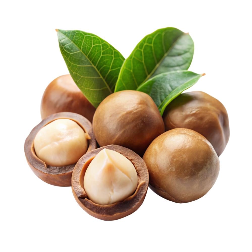 زبدة المكاديميا الطبيعية