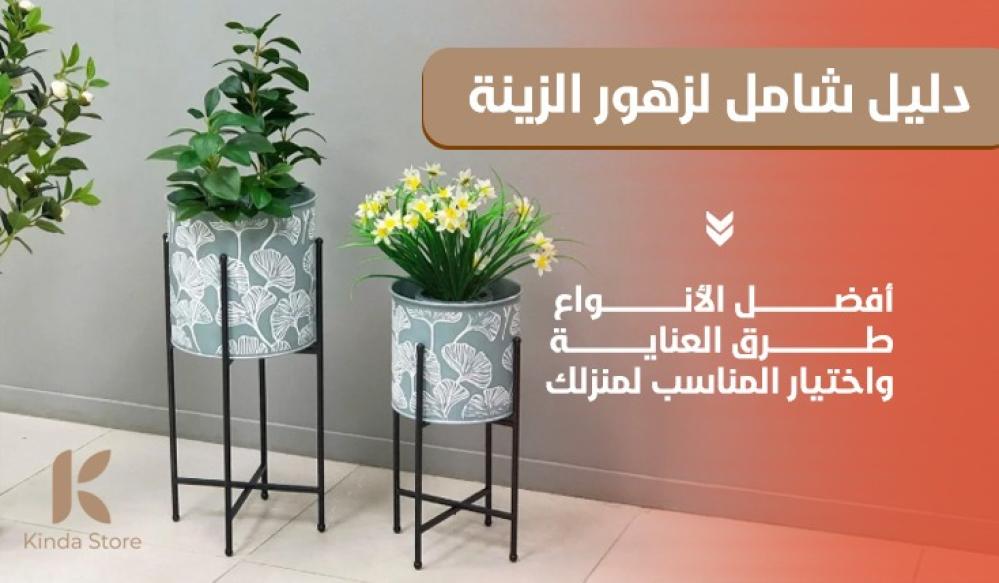 دليل شامل لزهور الزينة: أفضل الأنواع، طرق العناية، واختيار المناسب لمنزلك