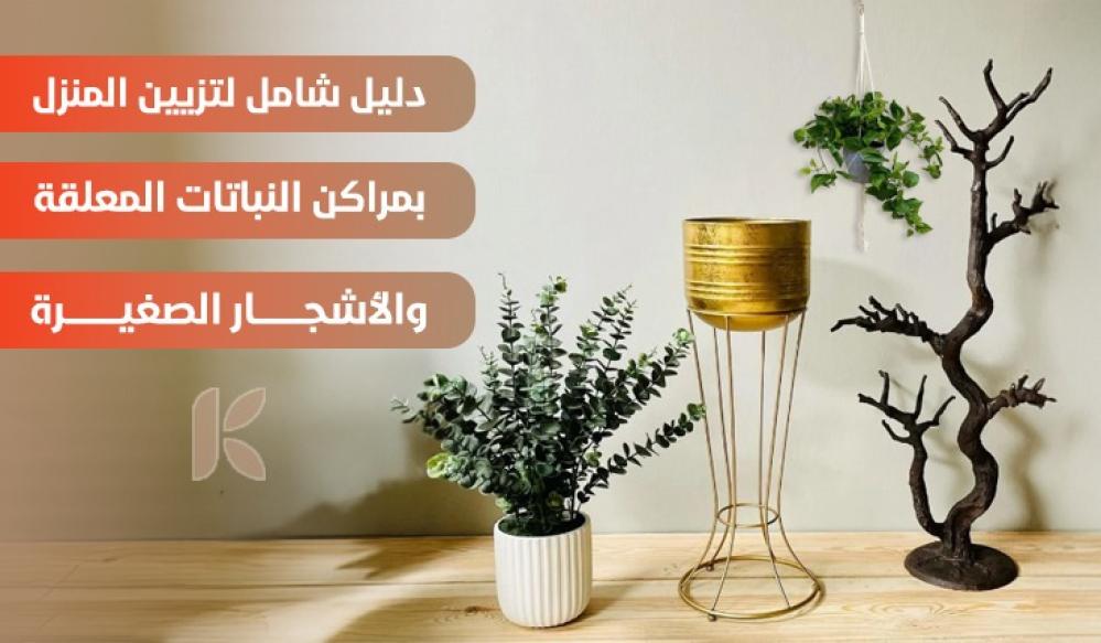 دليل شامل لتزيين المنزل بمراكن النباتات المعلقة والأشجار الصغيرة