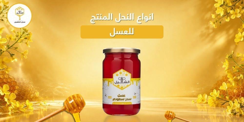 انواع النحل المنتج للعسل
