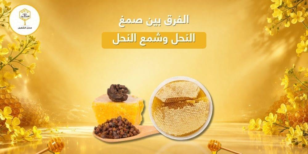 الفرق بين صمغ النحل وشمع النحل