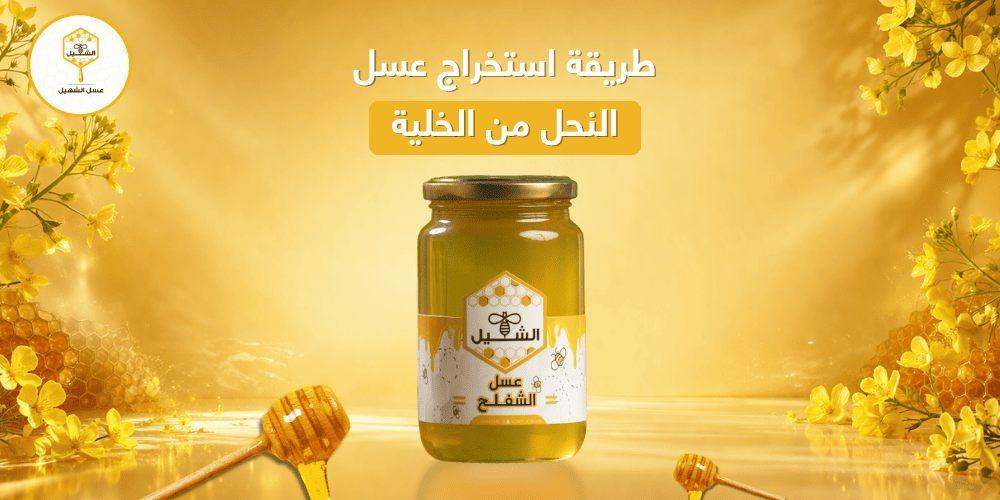 طريقة استخراج عسل النحل من الخلية