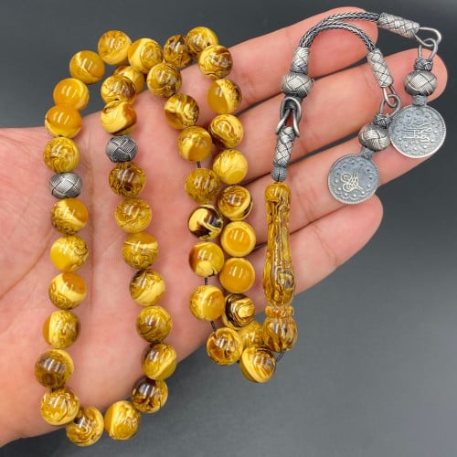 بكلايت بلجيكي (اقحوان)