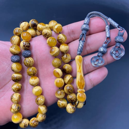 بكلايت بلجيكي (اقحوان)