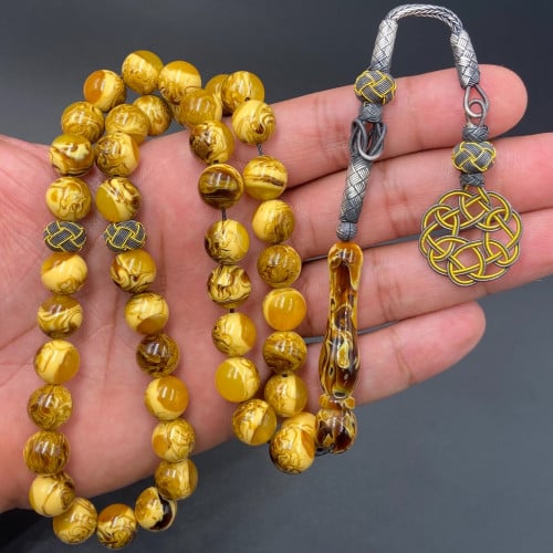 بكلايت بلجيكي (اقحوان)