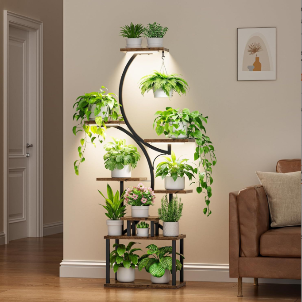 ارفف لتنظيم النباتات