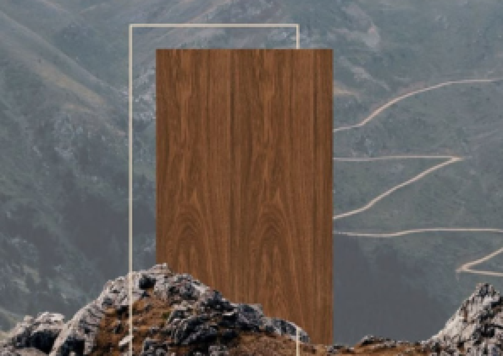 أنواع الخشب والفرق بينها: دليلك لاختيار الأنسب