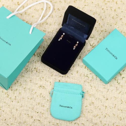TIFFANY&Co. earrings