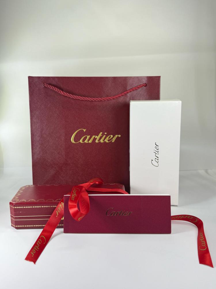 قلم كارتير سانتوس دو - غطاء