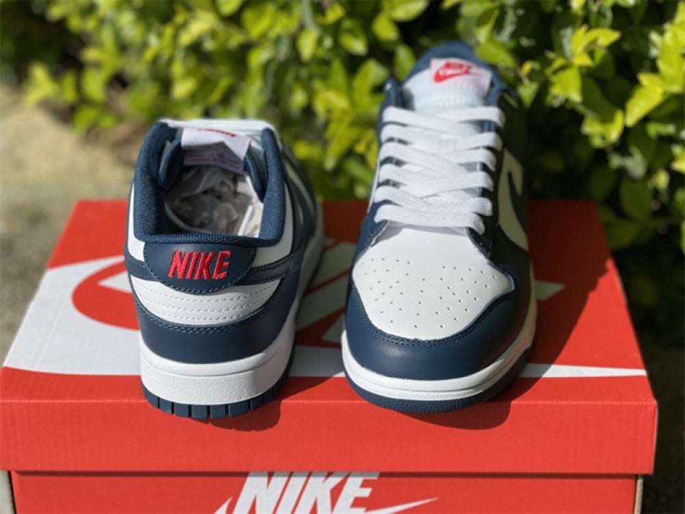 nike Dunk low valerian blue - b3 store | b3