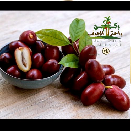 بلح حمراء عقيل ( 600 g)