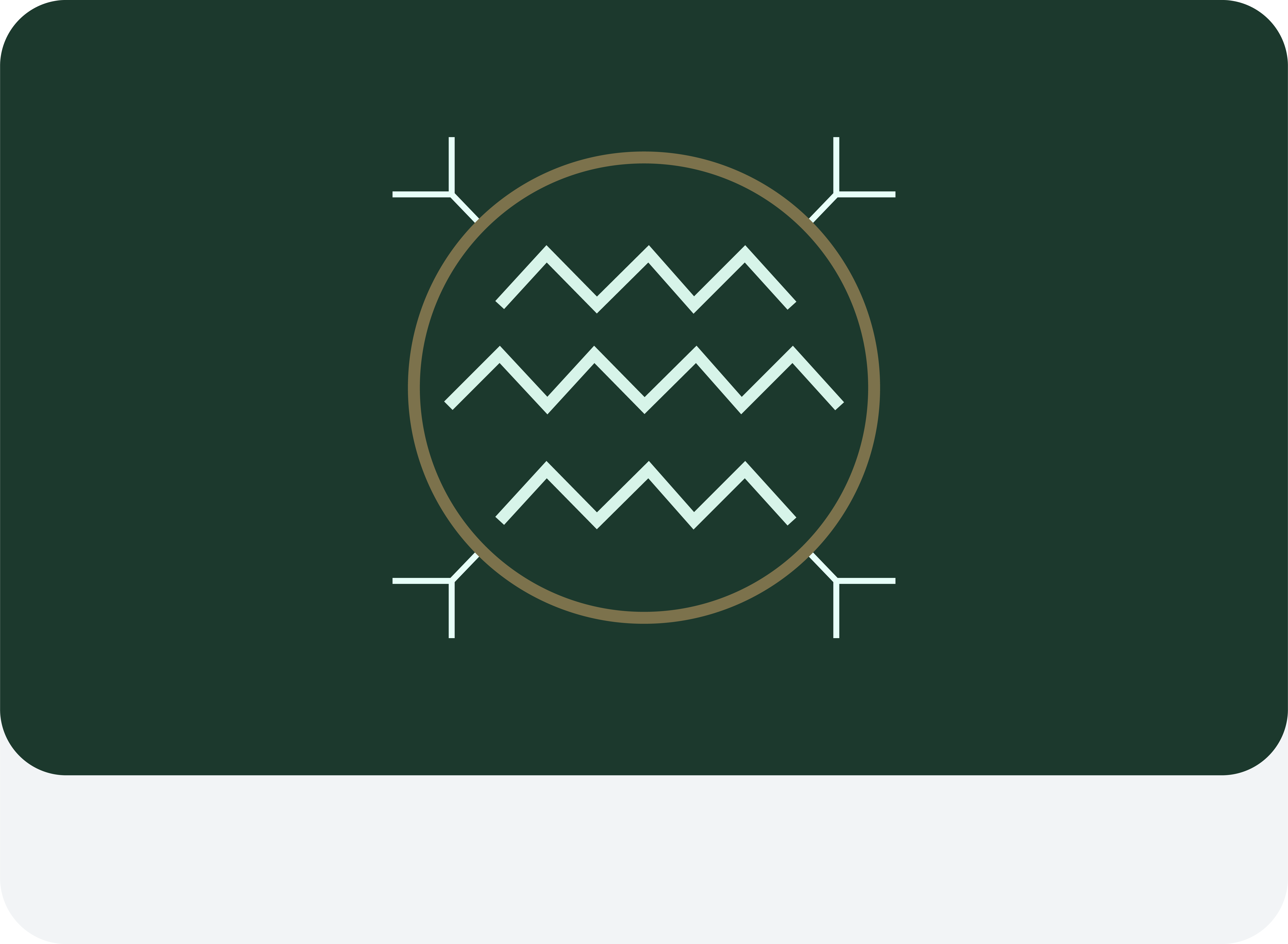 شتوي نقش خاص