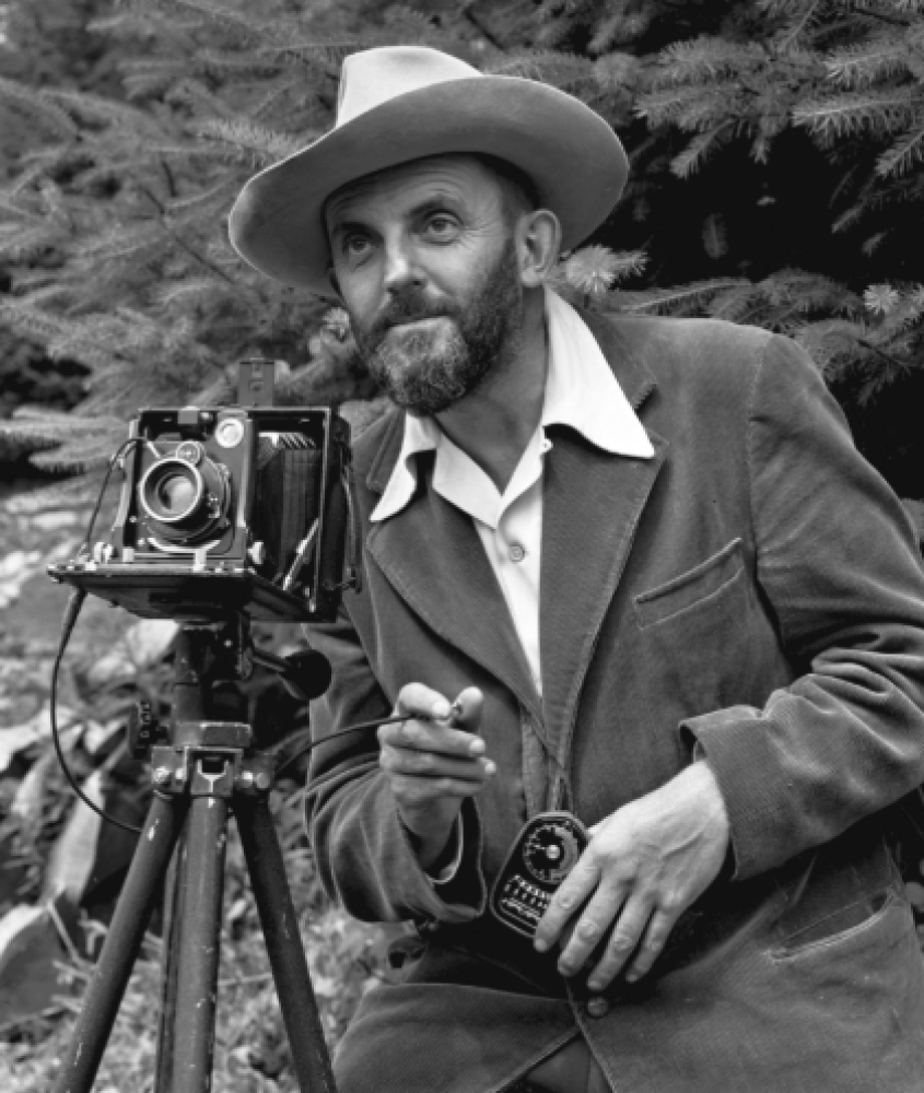 هل تريد أن نُصوّر لك؟