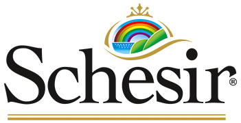 Schesir