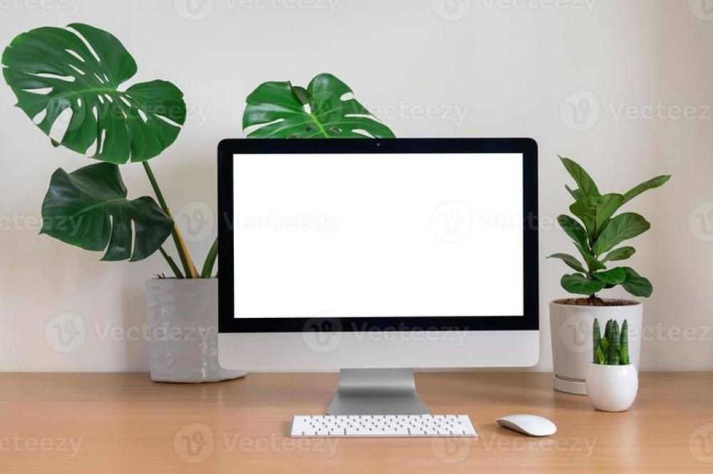 اكتشف أحدث توجهات تصميم نباتات للمكاتب