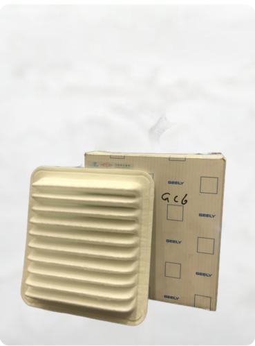 فلتر هواء أصلي جيلي باندا، GC2, GX2.