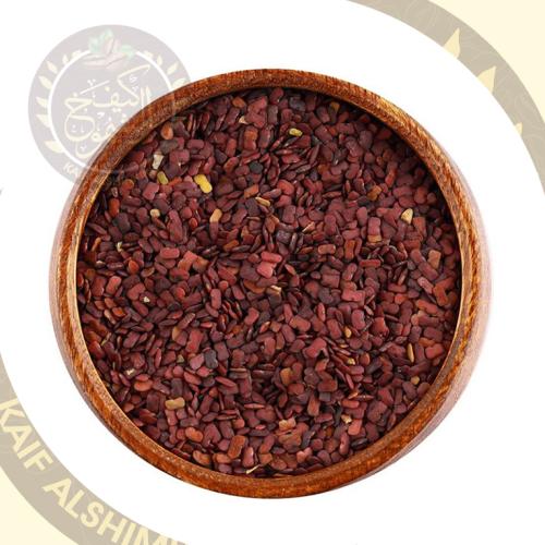 حلبة الخيل