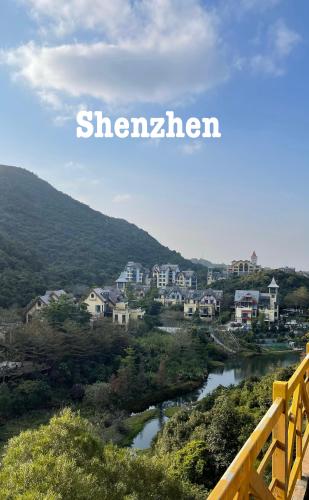 Shenzhen PDF