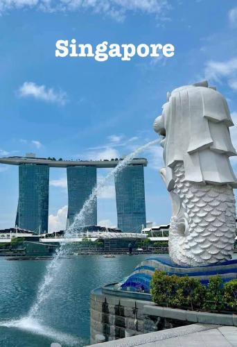 singapore PDF