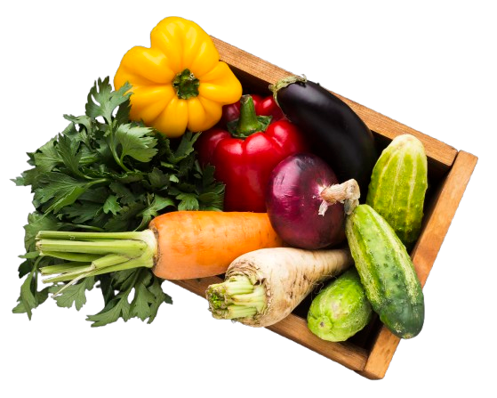 Basic vegetables