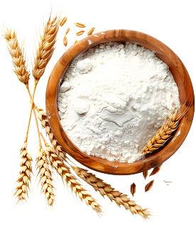 Premium All-Purpose Flour