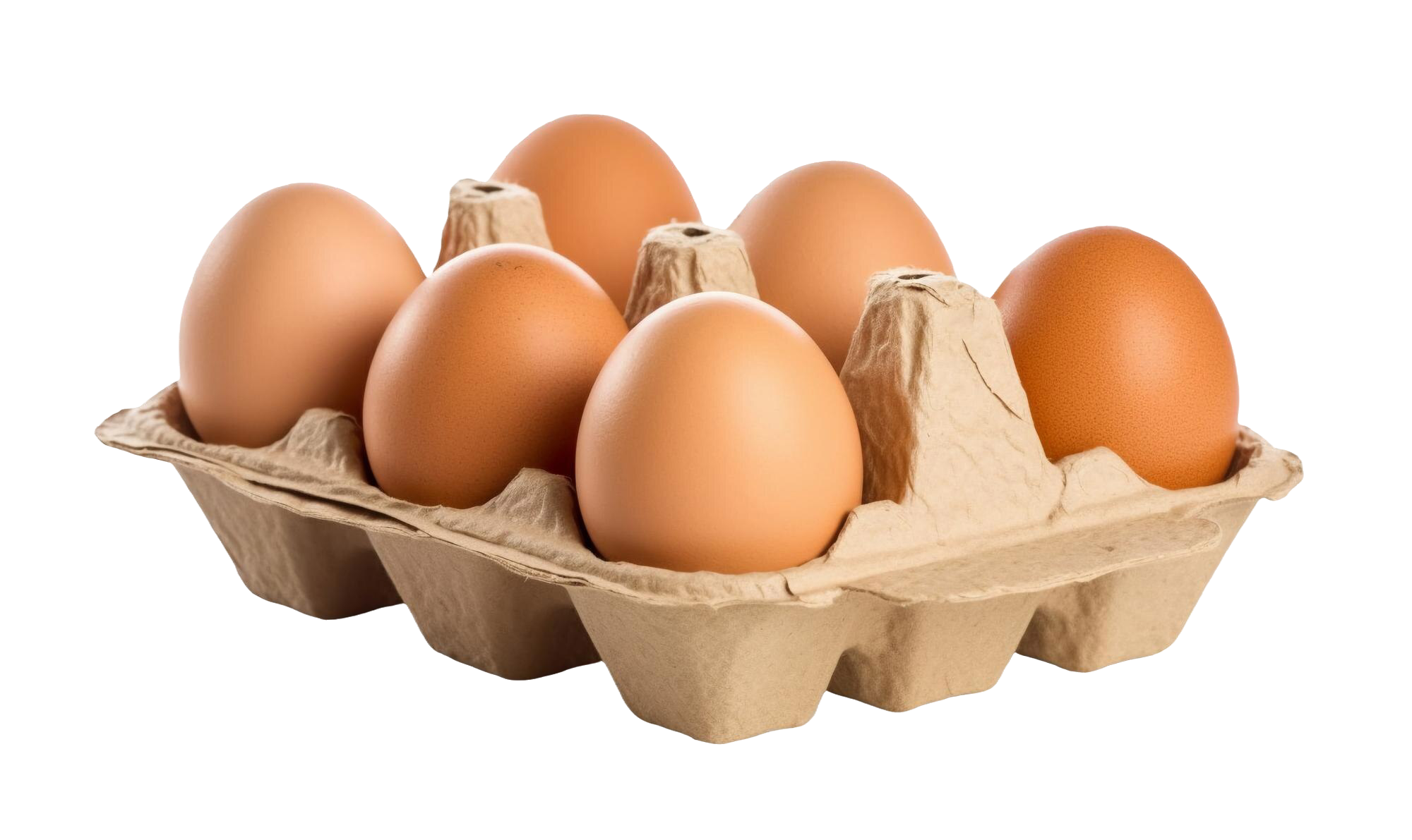 Premium Fresh Eggs