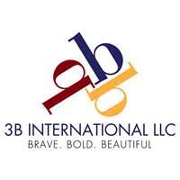 3B International