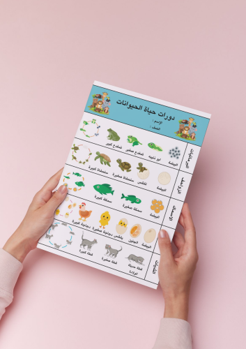 مطوية دورات حياة الحيوانات ثالث إبتدائي