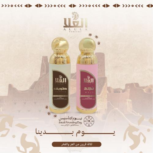 بكج يوم التأسيس