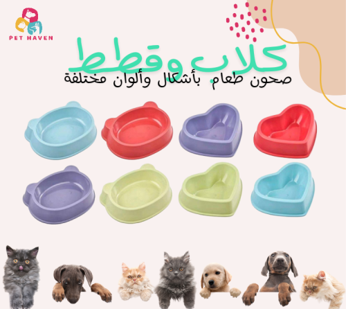 صحن طعام بلاستيك بألوان و أشكال مختلفة للقطط والكل...