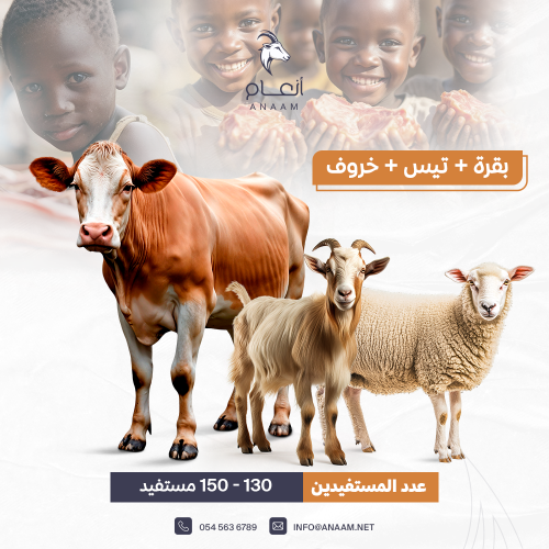 عرض الطلب المتكامل