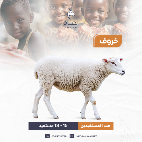 خروف